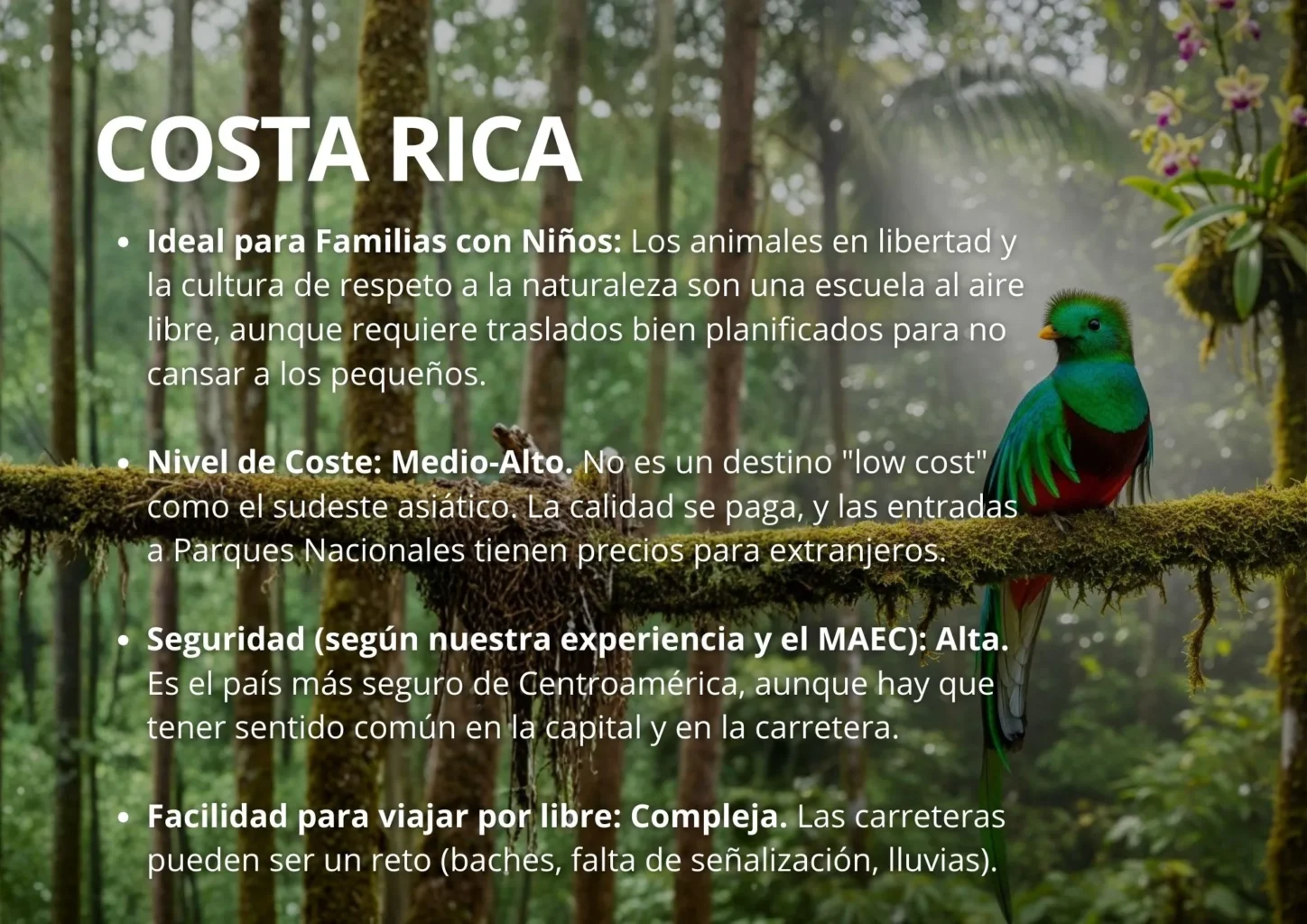 Infografía con consejos turísticos y quetzal sobre cómo organizar un viaje a Costa Rica todo incluido.
